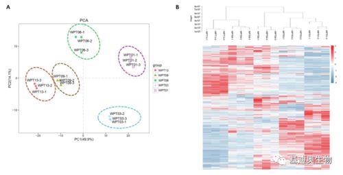 基迪奧植物廣靶代謝組學技術驅動生物基材料創新，助推單組學研究登頂頂尖期刊